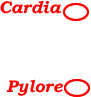 cardia pylore
